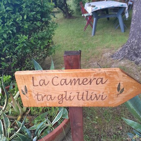 La Camera Tra Gli Ulivi Dream Finale Finale Ligure Buitenkant foto