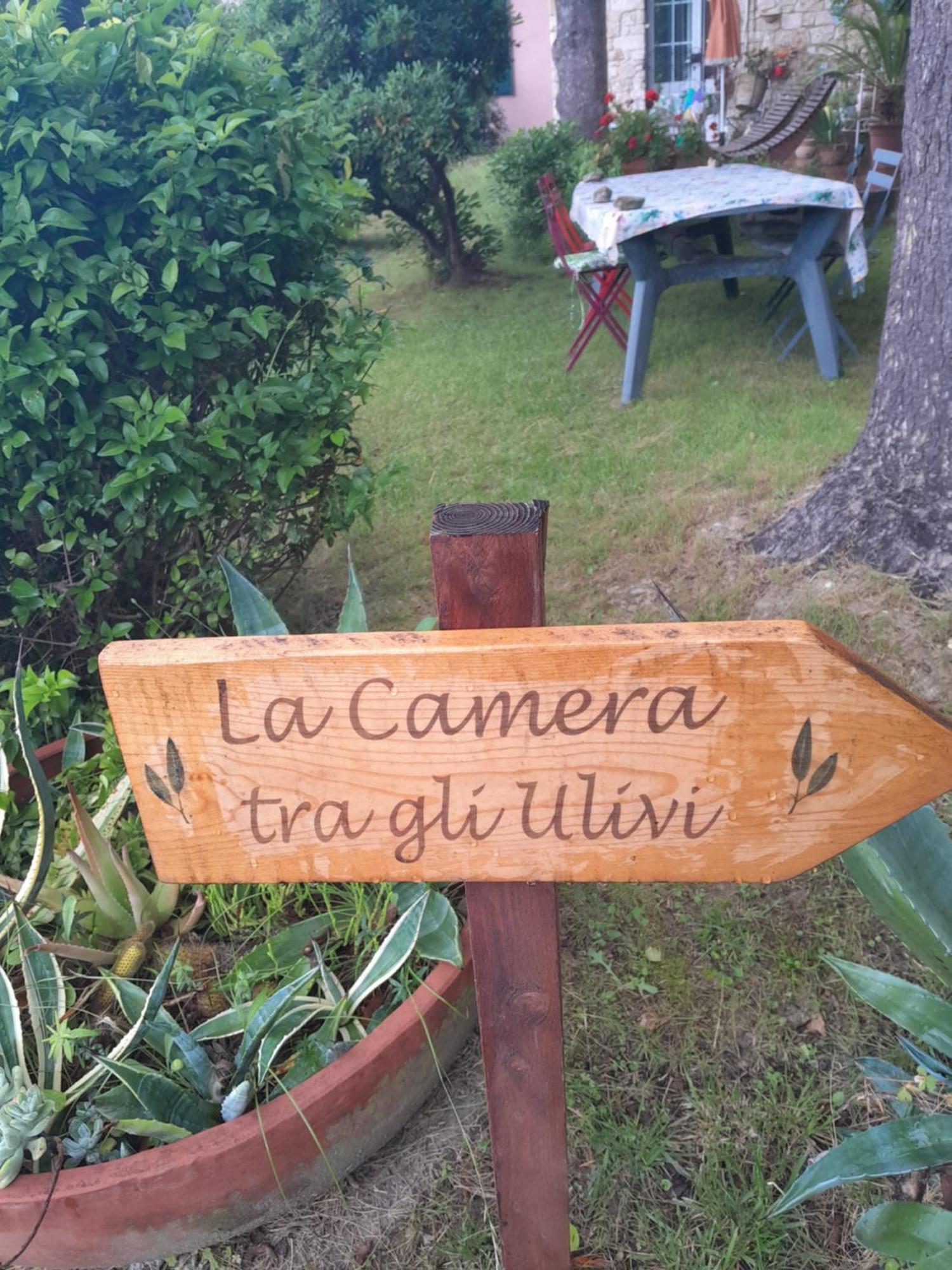 La Camera Tra Gli Ulivi Dream Finale Finale Ligure Buitenkant foto