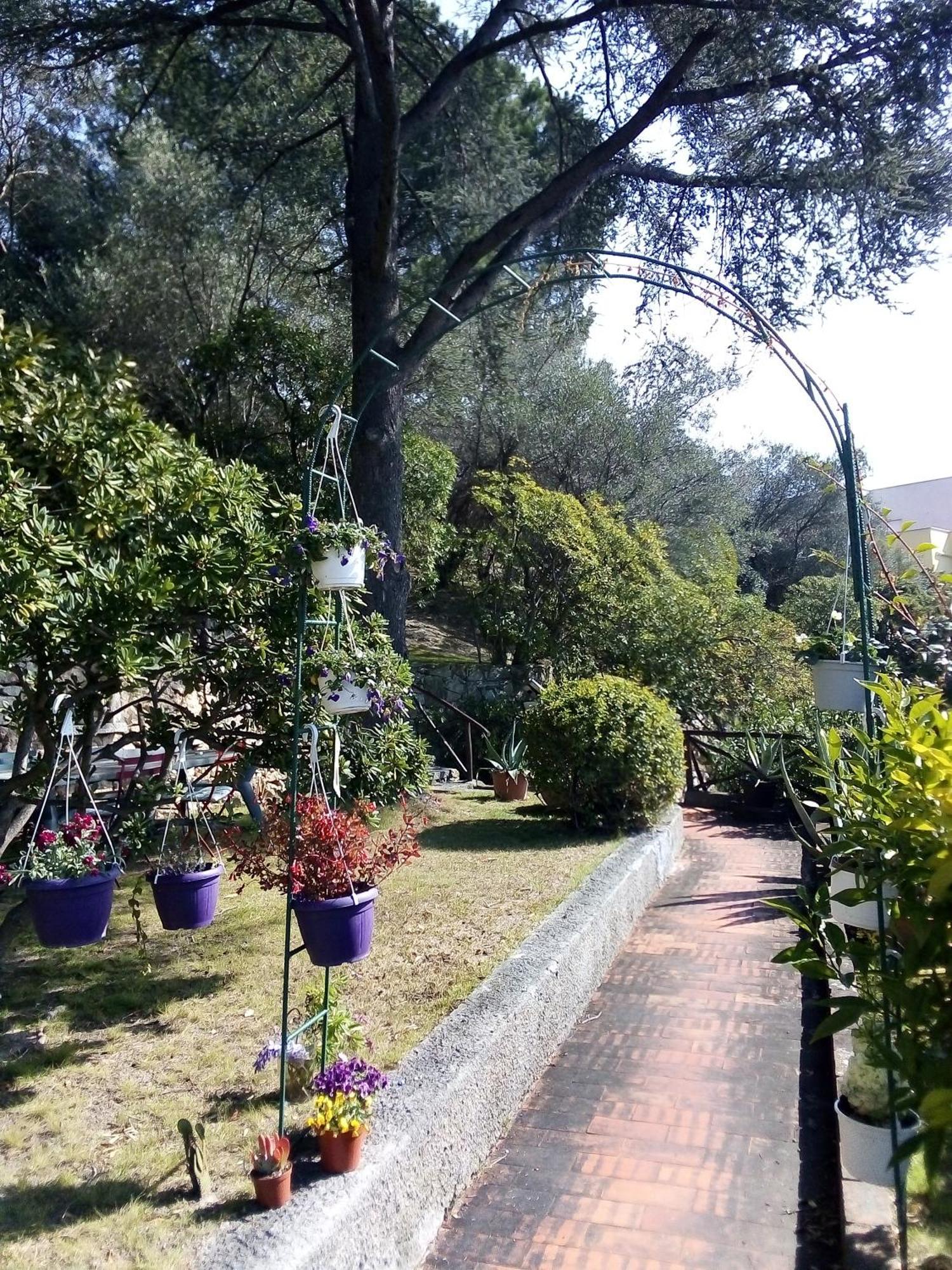 La Camera Tra Gli Ulivi Dream Finale Finale Ligure Buitenkant foto