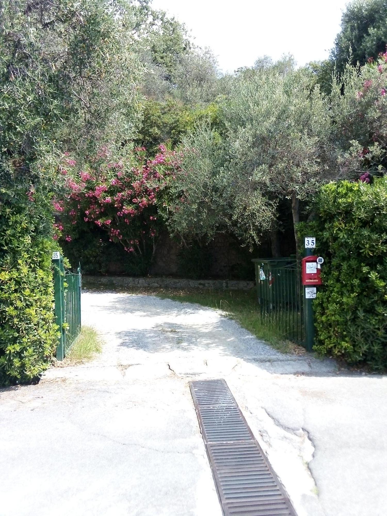 La Camera Tra Gli Ulivi Dream Finale Finale Ligure Buitenkant foto
