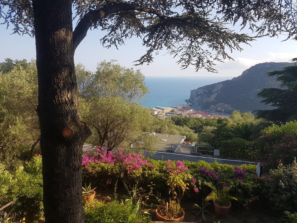 La Camera Tra Gli Ulivi Dream Finale Finale Ligure Buitenkant foto