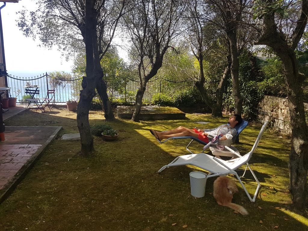 La Camera Tra Gli Ulivi Dream Finale Finale Ligure Buitenkant foto
